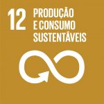 Objetivo do Desenvolvimento Sustentável 12